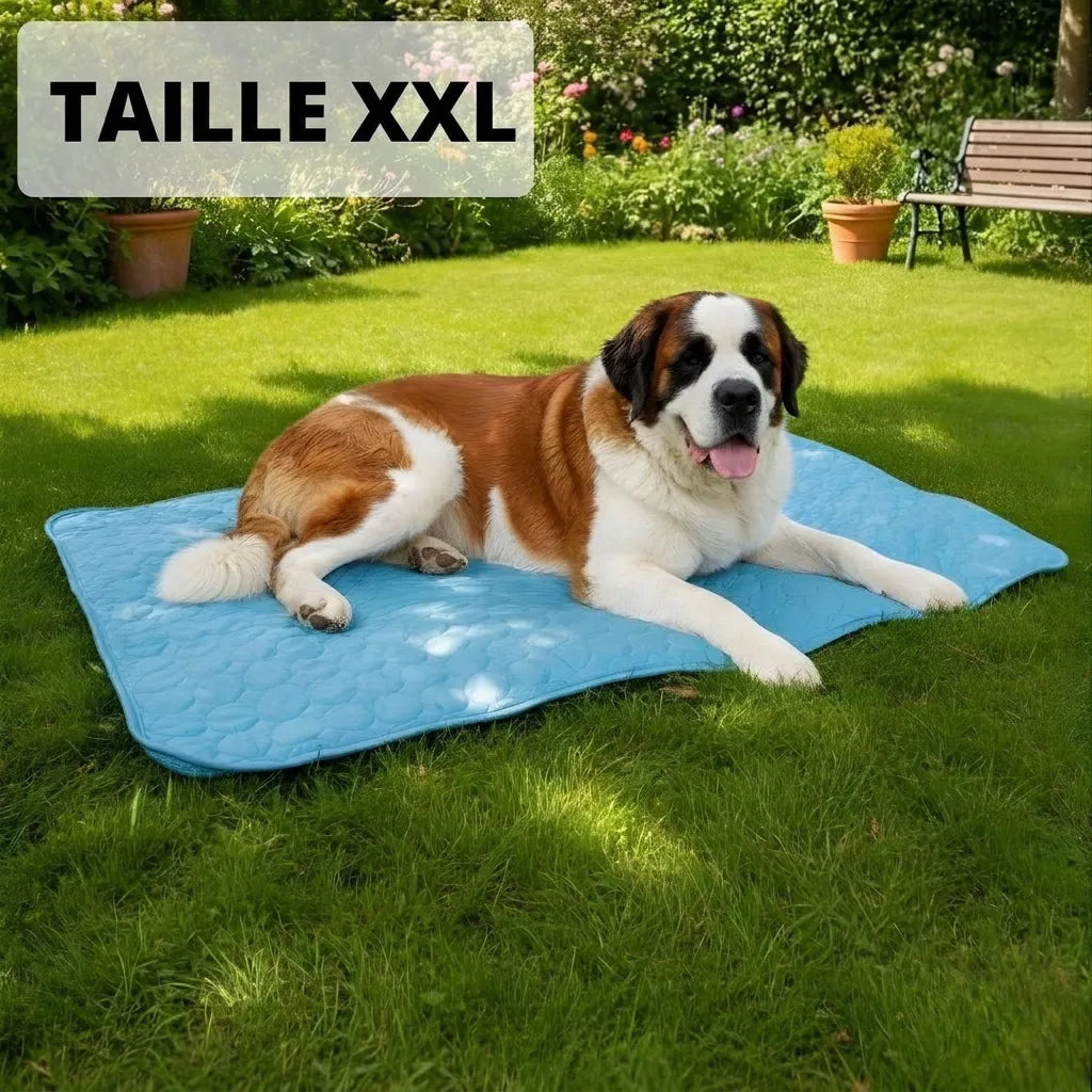 Glacio™ Tapis Rafraîchissant pour Chien
