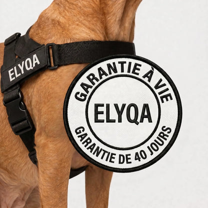 ZenWalk harnais anti-traction pour chien