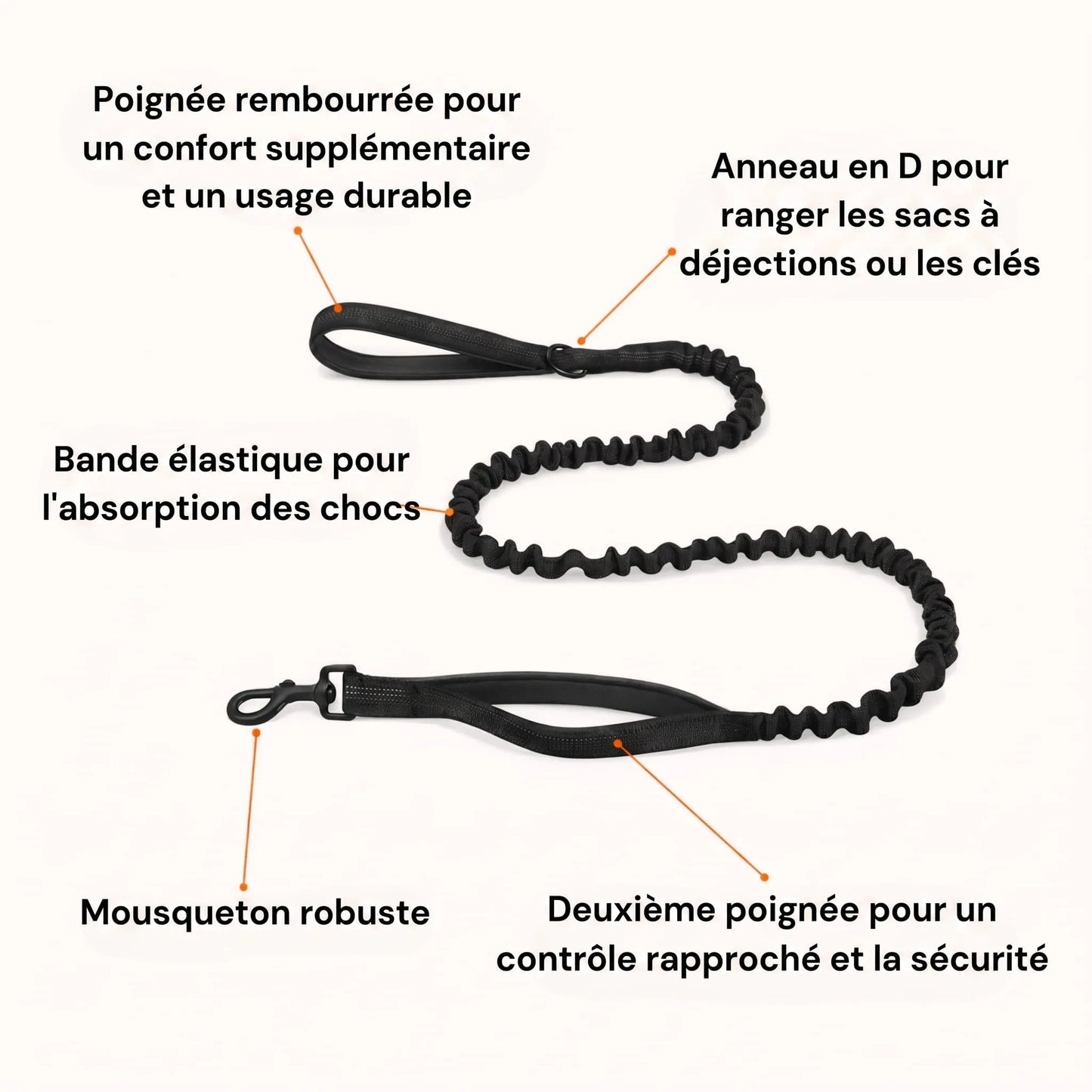 ZenWalk harnais anti-traction pour chien