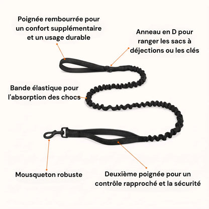 ZenWalk harnais anti-traction pour chien