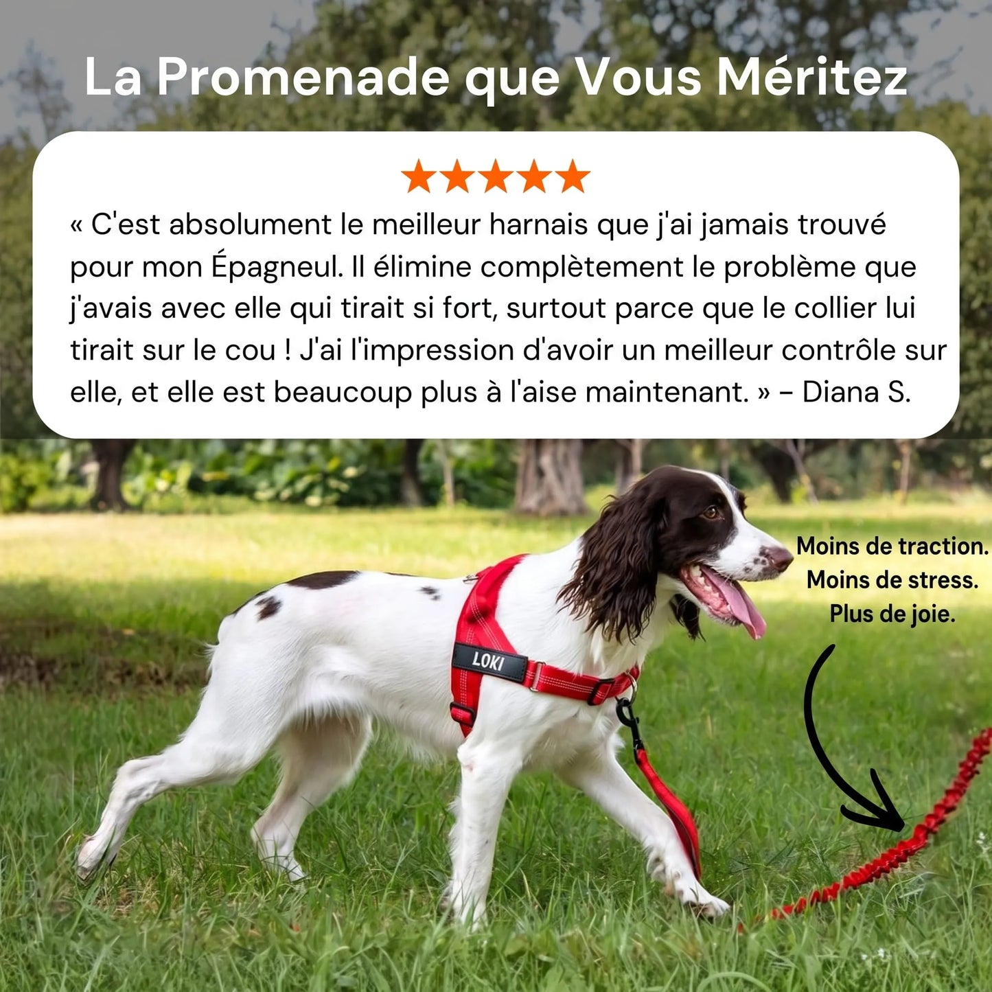 ZenWalk harnais anti-traction pour chien