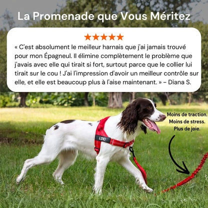 ZenWalk harnais anti-traction pour chien