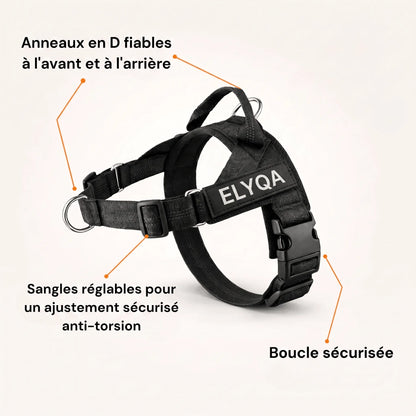 ZenWalk harnais anti-traction pour chien