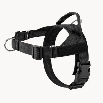 ZenWalk harnais anti-traction pour chien