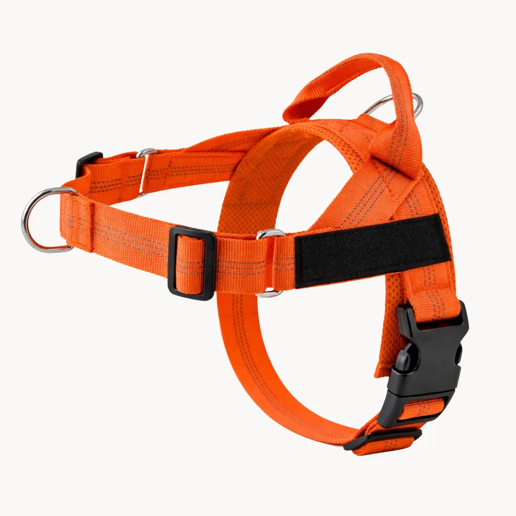ZenWalk harnais anti-traction pour chien
