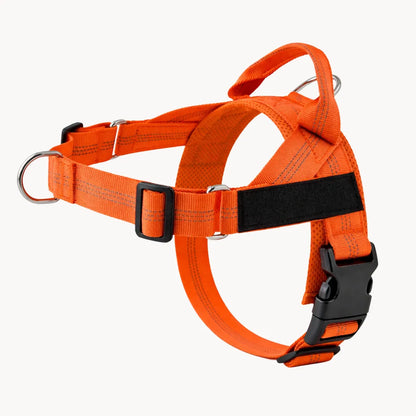 ZenWalk harnais anti-traction pour chien