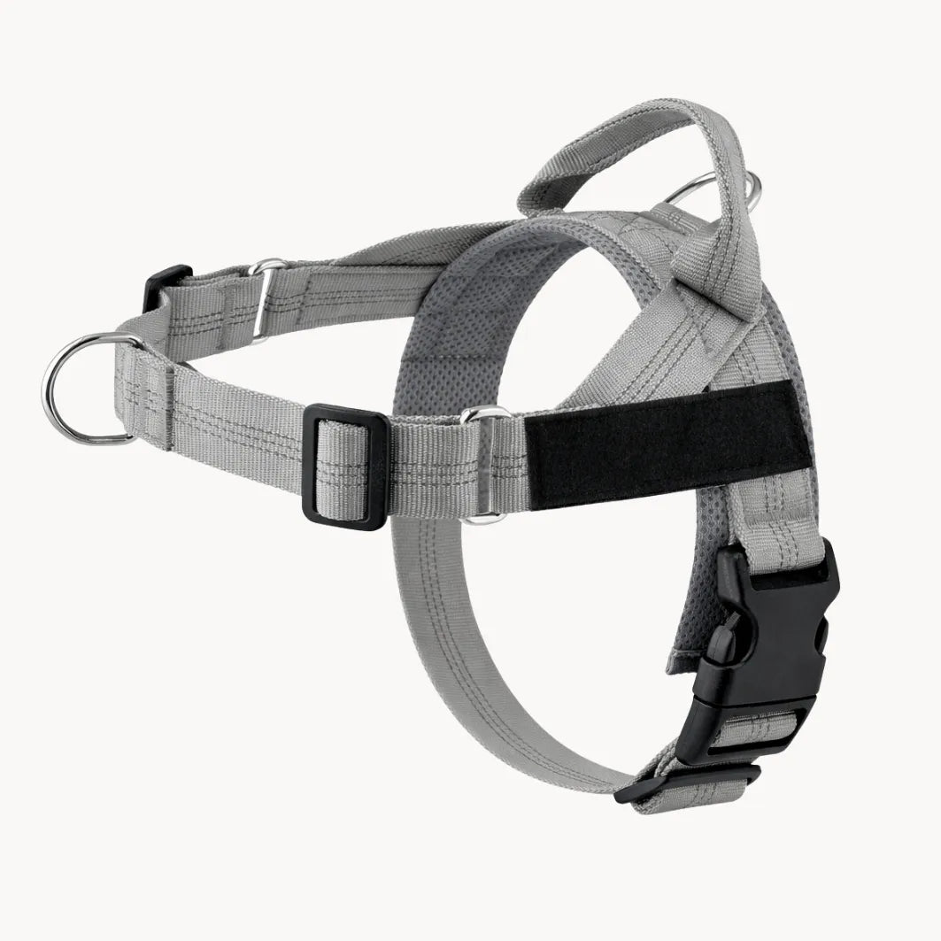 ZenWalk harnais anti-traction pour chien