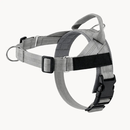 ZenWalk harnais anti-traction pour chien