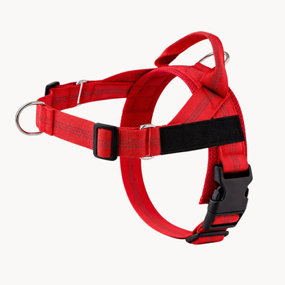 ZenWalk harnais anti-traction pour chien