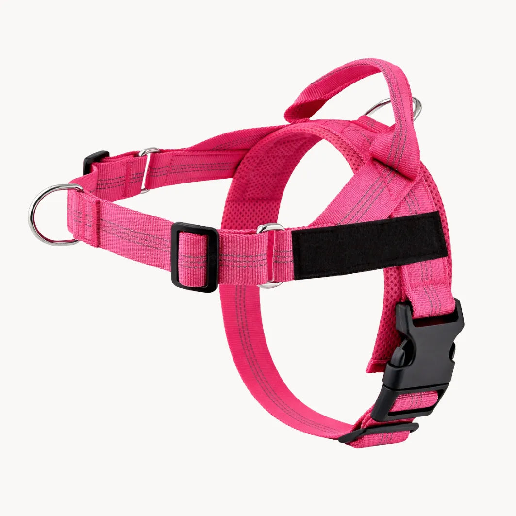 ZenWalk harnais anti-traction pour chien