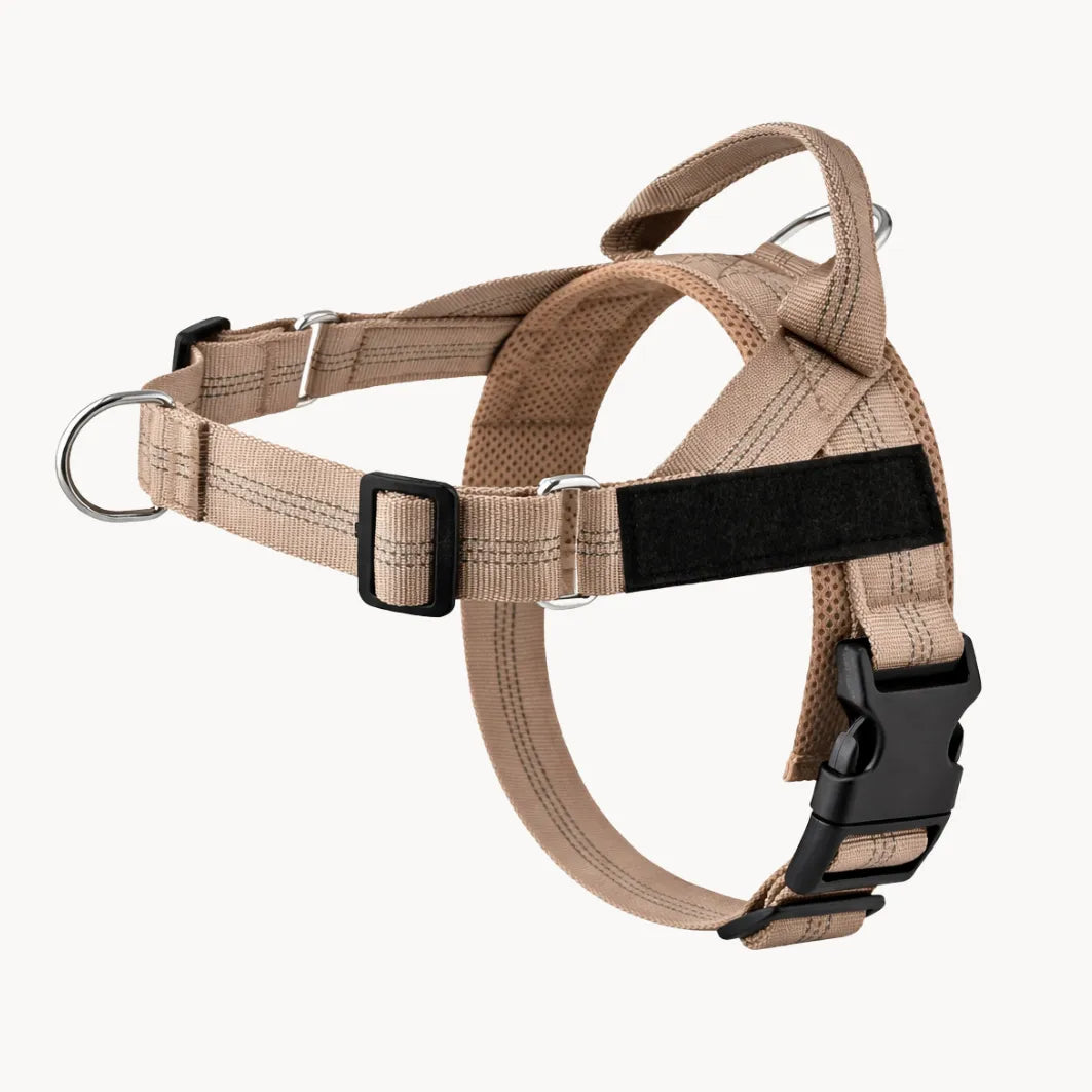 ZenWalk harnais anti-traction pour chien