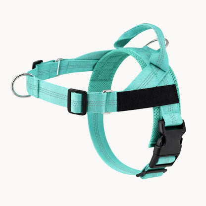 ZenWalk harnais anti-traction pour chien