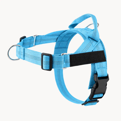ZenWalk harnais anti-traction pour chien