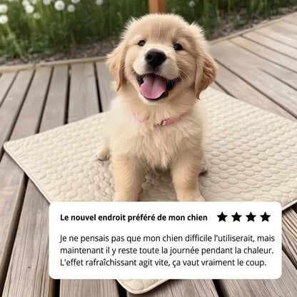 Glacio™ Tapis Rafraîchissant pour Chien