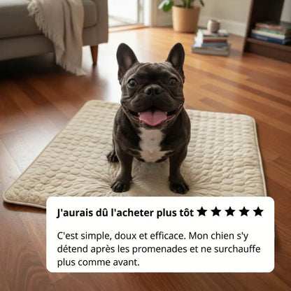 Glacio™ Tapis Rafraîchissant pour Chien