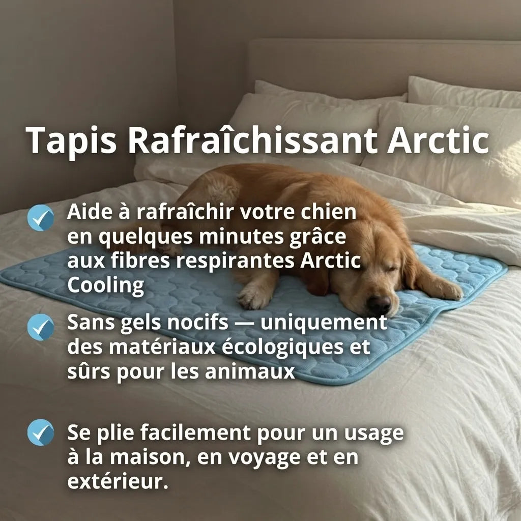 Glacio™ Tapis Rafraîchissant pour Chien