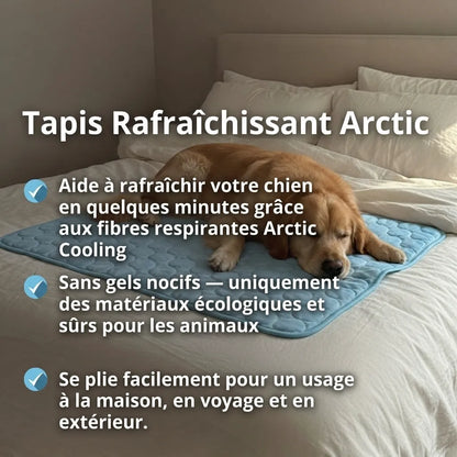 Glacio™ Tapis Rafraîchissant pour Chien