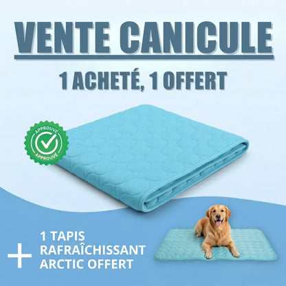 Glacio™ Tapis Rafraîchissant pour Chien