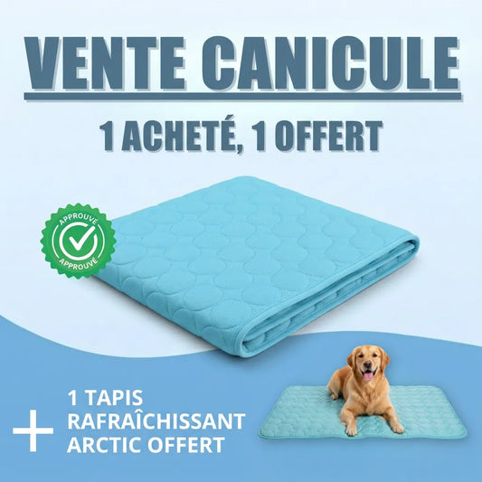Glacio™ Tapis Rafraîchissant pour Chien