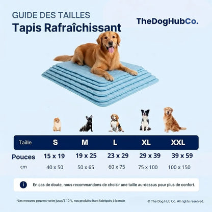Glacio™ Tapis Rafraîchissant pour Chien