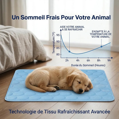 Glacio™ Tapis Rafraîchissant pour Chien