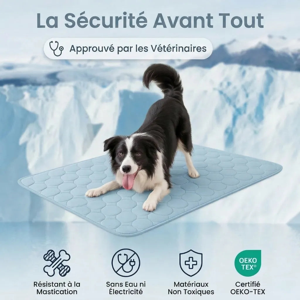 Glacio™ Tapis Rafraîchissant pour Chien