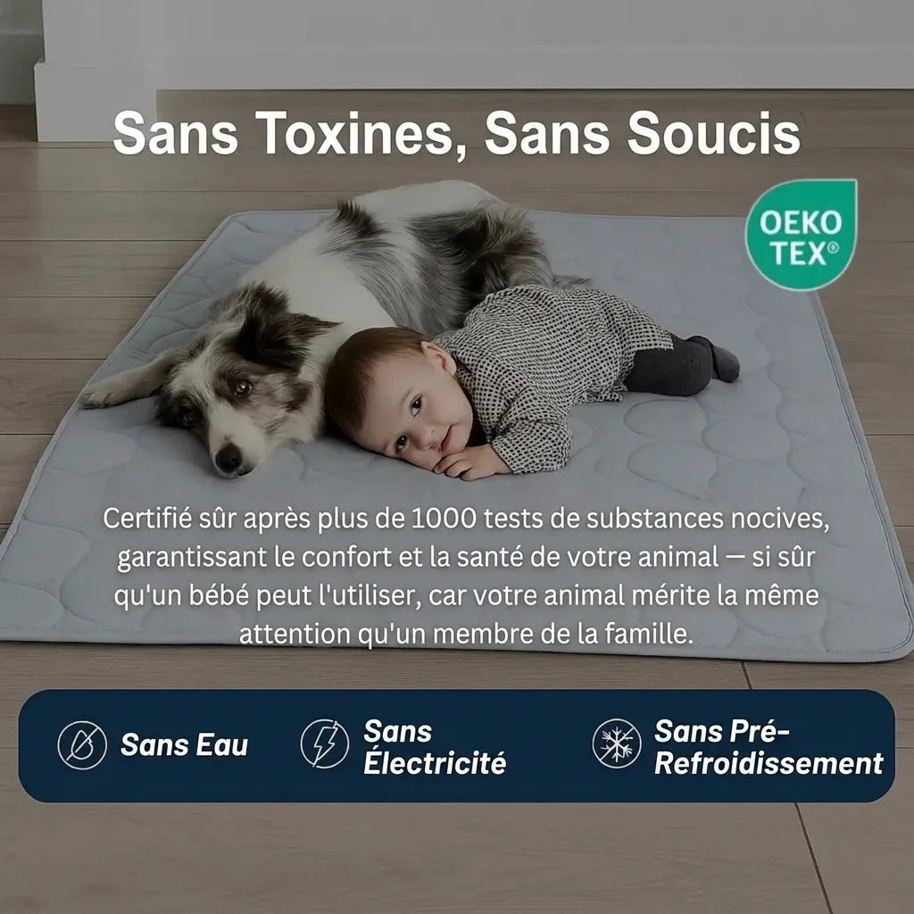 Glacio™ Tapis Rafraîchissant pour Chien