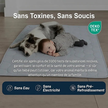 Glacio™ Tapis Rafraîchissant pour Chien