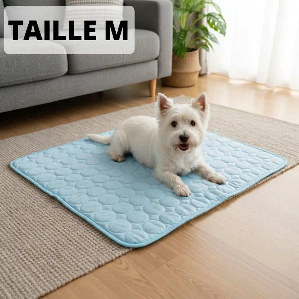 Glacio™ Tapis Rafraîchissant pour Chien