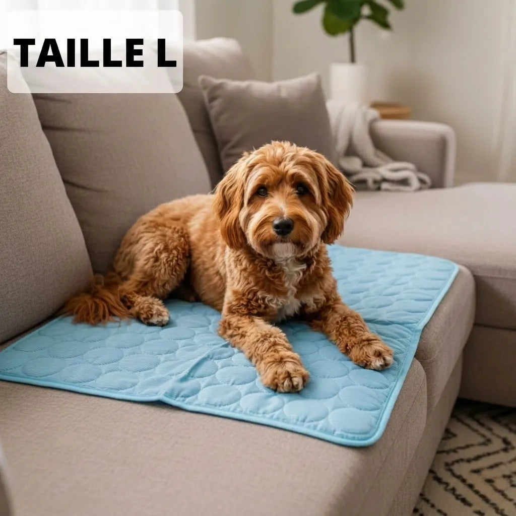 Glacio™ Tapis Rafraîchissant pour Chien