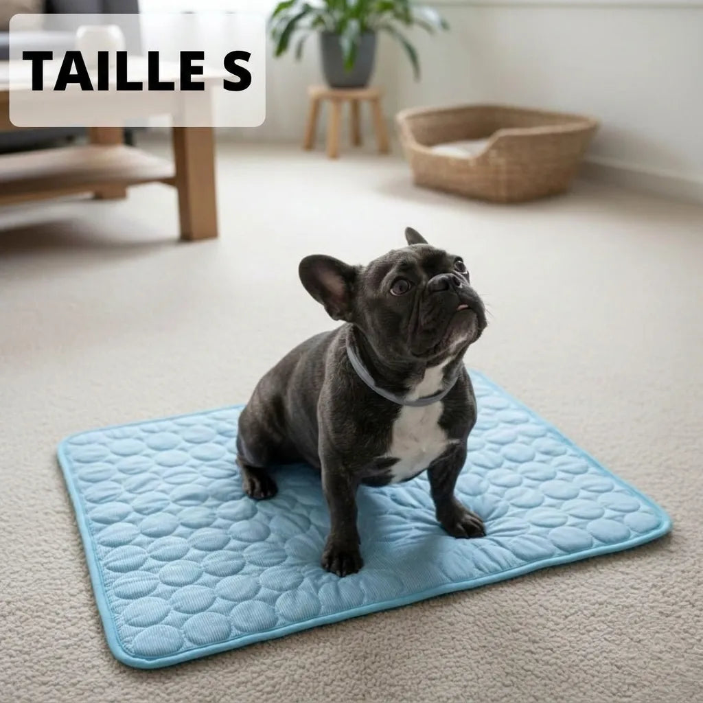 Glacio™ Tapis Rafraîchissant pour Chien