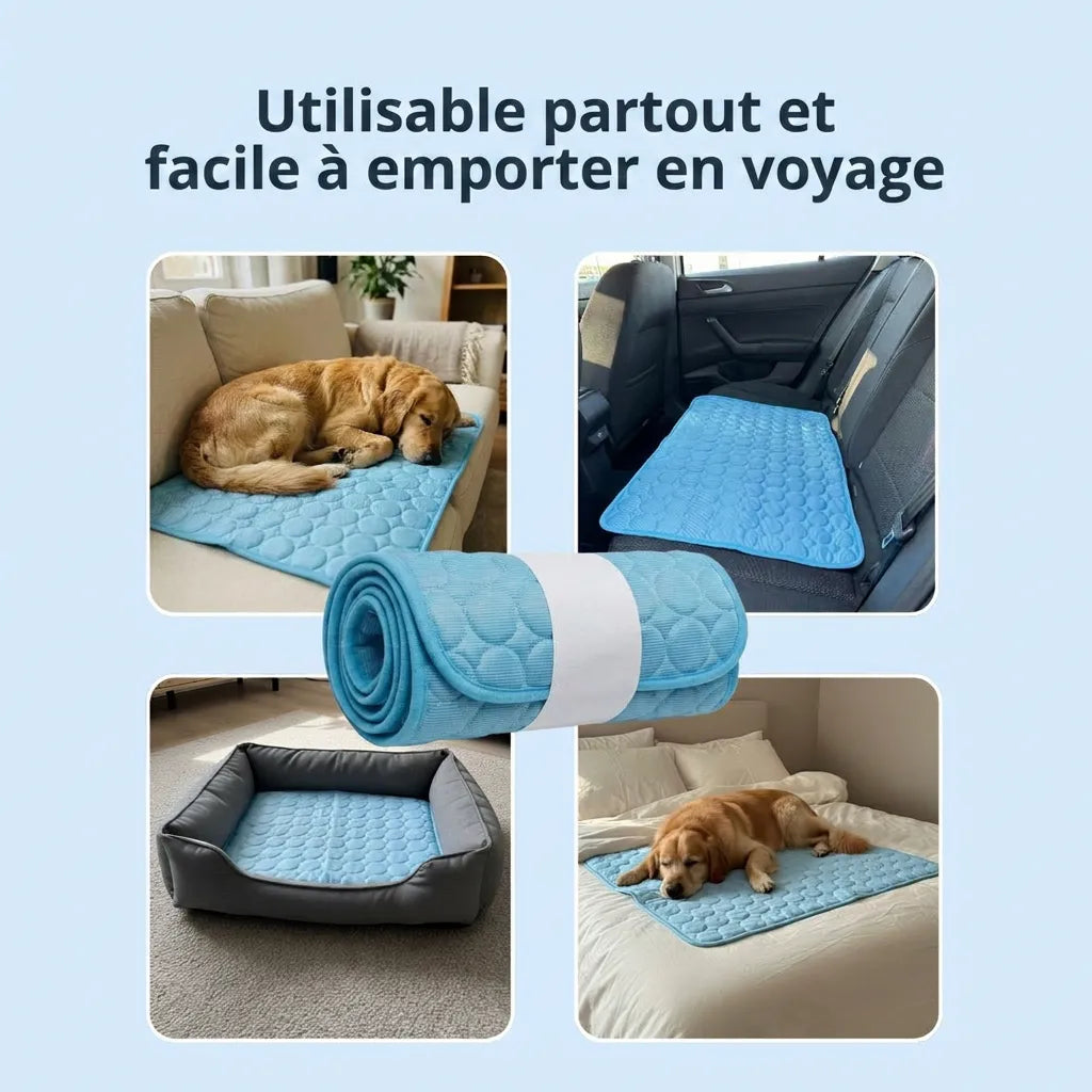 Glacio™ Tapis Rafraîchissant pour Chien