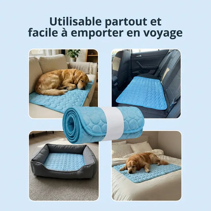 Glacio™ Tapis Rafraîchissant pour Chien